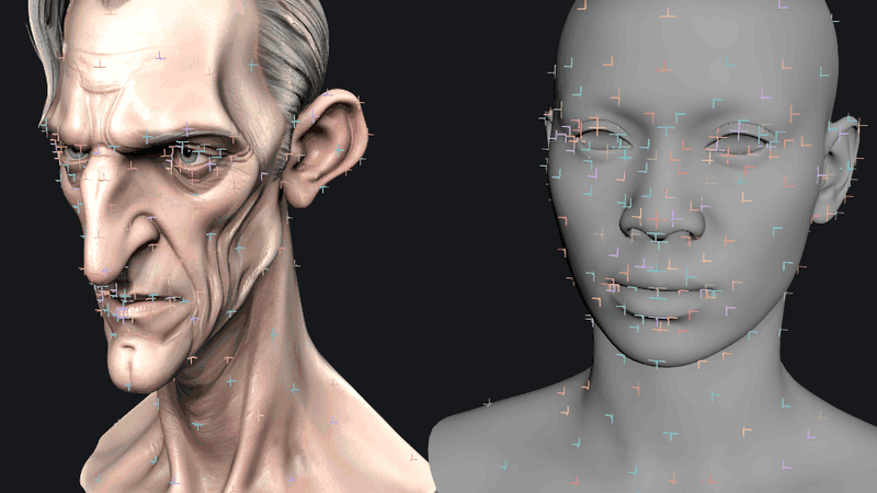 Alternating: the two heads with markers, then the base head wrapped into the scan's proportions beside the original base head.